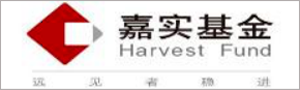  深圳东升国际官网数据科技有限公司